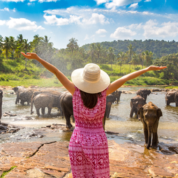 Woman In A Pink Dress At Pinnawala Elephant Orphanage